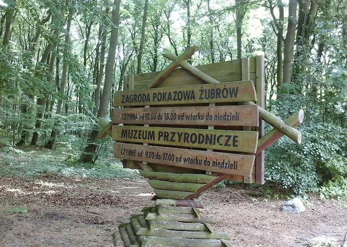 홀리데이파크 Martini 미엥지즈드로예